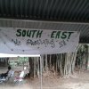 Sports Club Activity