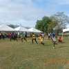 Sports Club Activity