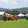 Sports Club Activity