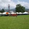 Sports Club Activity