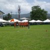 Sports Club Activity
