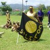 Sports Club Activity