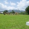 Sports Club Activity