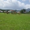 Sports Club Activity