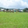 Sports Club Activity